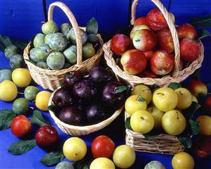 Cestas con distintas clases de ciruelas.