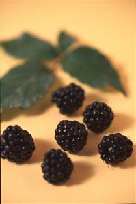 Moras. 