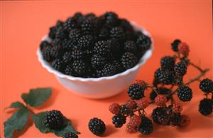 Moras. 