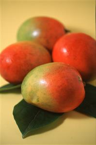 Varios mangos. 