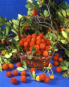 Madroños. Frutos en una cesta y ramas del arbusto.