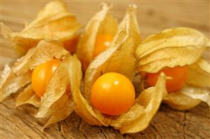 Alquequenje o physalis.