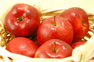 Manzanas, cubiertas de gotas de agua, en un cesto.