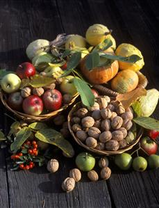 bodegon de frutas: manzanas, calabazas y nueces.