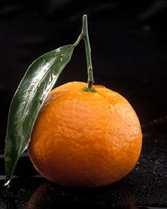 Mandarina con una hoja del arbol.