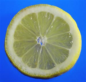 Rodaja de limon. 