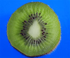 Rodaja de kiwi. 