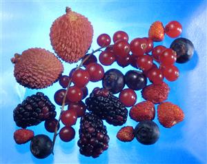 Frutas del bosque: moras, fresitas, arandanos, grosellas y lichis (fruta tipica de China). 