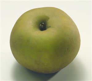 Manzana tipo Reineta.