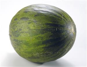 Melon de la huerta murciana.