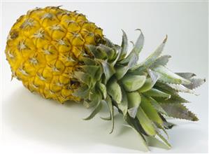 Piña canaria.