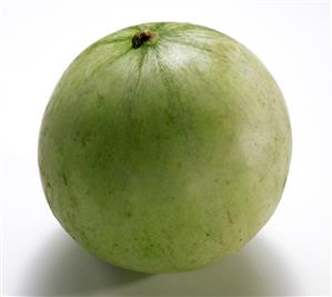 Melon tipo cantalupo (Francia).