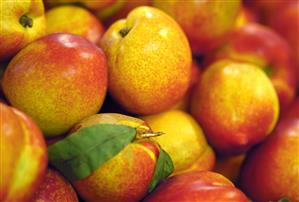 Monton de nectarinas en una fruteria.                                