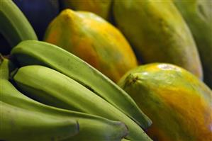 Platanos machos y papayas gigantes.                               