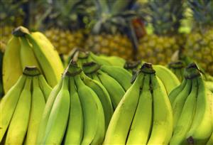 Platanos y piñas en una fruteria.                                