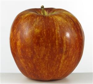 Una manzana.                                