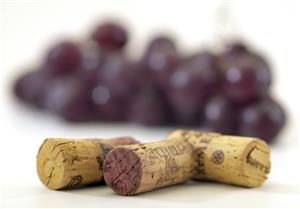 Tapones de vino y uva negra detras, desenfocada.