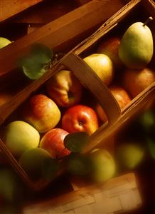 Manzanas y peras en una caja.