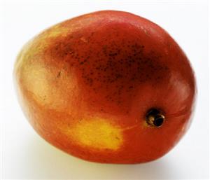 A Mango