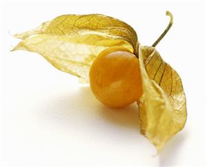 A Cape Gooseberry