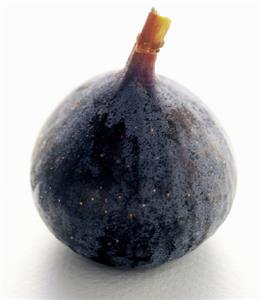 A Fig