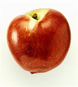 A Nectarine