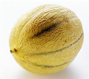 A netted melon