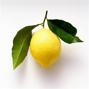 A Lemon with Leaves