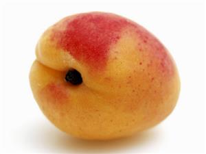 An apricot