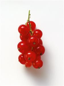 Redcurrants