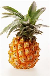 Fresh baby pineapple