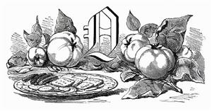 Still life with letter Q and quinces (illustration)