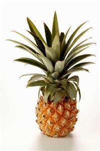 A pineapple