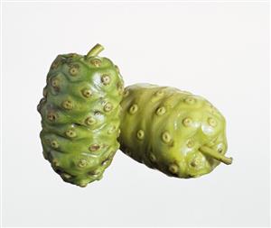 Two noni fruits