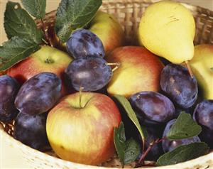 Basket of apples, plums and pear