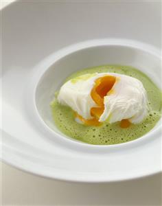 Herb foam soup with poached egg