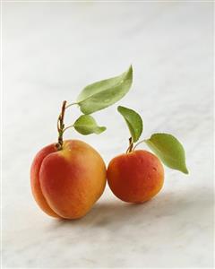 Two Wachau apricots