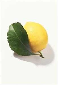 A lemon with leaf