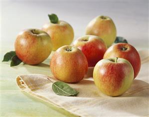 Seven apples with leaves (variety: Braeburn)