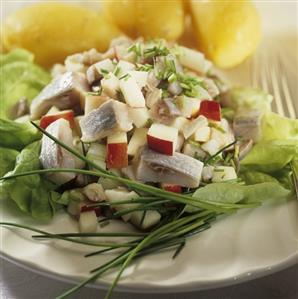 Matjes herring salad with boiled potatoes