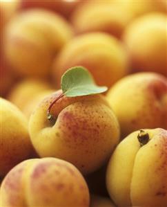 Apricots with one leaf (full-frame)