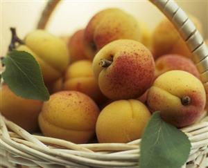 Apricots in a basket