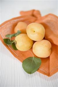 Fresh apricots