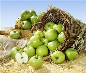 Granny Smith apples in a basket