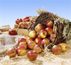 Red apples in a basket