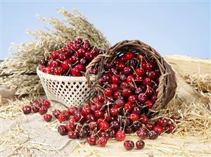 Still life with cherries