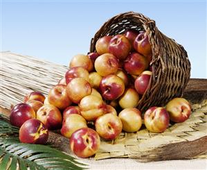 Nectarines in a basket