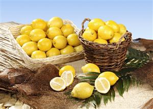 Still life with lemons