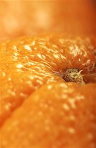 An orange (close-up)