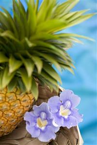 A pineapple with tropical flowers